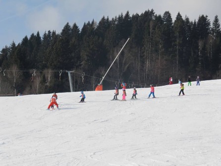 Vakantie Villa Karinthie 02 Ski Piste Koetschach